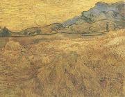 Vincent Van Gogh Wheat Field wtih Reaper and Sun (nn04) USA oil painting artist